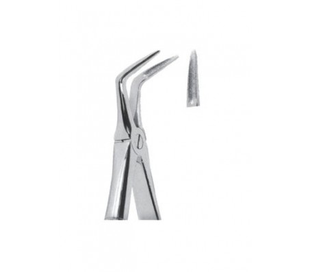 Extracting Forceps